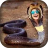 Snake Photo Frame