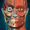 3D Anatomy Learning