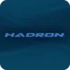 Hadron