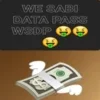 We Sabi data pass