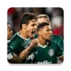 Papeis de parede de Palmeiras