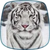 White Tiger Live Wallpaper