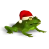 Christmas Super Frog