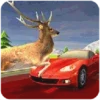 RoadKill Race Simulator