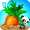 Baby Panda's Fruit Farm