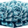 AppLock Theme Succulent