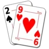 29 Card Game