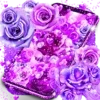 Purple rose live wallpaper