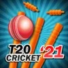 T20 Cricket for IPL