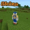 Sonic Skins