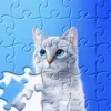 Jigsaw Puzzles