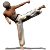 Taekwondo Forms (Sponsored)