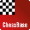 Search - Chess players