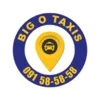 Big O Taxis