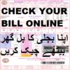 Wapda Bill Checker