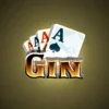 Gin Rummy