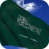 3D Saudi Arabia Flag LWP