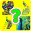 Puzzle Quiz 3D