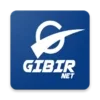 GIBIRNet