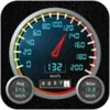 DS Speedometer