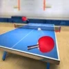 Table Tennis Touch