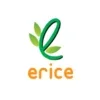 E-rice: rice, grocery delivery