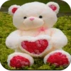 Cute Teddy Bear wallpaper