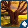 Forest Jigsaw Puzzles