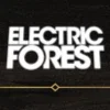 EF2019