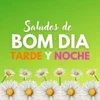 Bom dia Boa Tarde e Boa noite