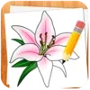 How to Draw Flowers