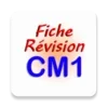 Fiche révision CM1