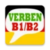 German Verbs B1/B2 Goethe