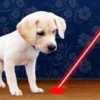 Laser Pointer for Dogs Simulator