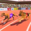 Dog Race 2019