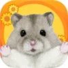 Hamster Valley