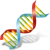 Genetic Tic Tac Toe