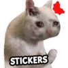 Cat Memes Stickers WASticker