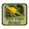 Bird Data - Brazil