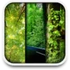 nature live Wallpaper