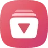 VidMint - Fast Video & Music Downloader