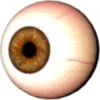 Eye