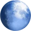 Pale Moon web browser