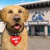 Animal Rescue - Dog Simulator