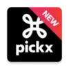 Proximus Pickx