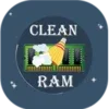 clean ram