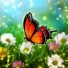 Hidden Object Enchanted Spring