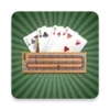 Cribbage Pro