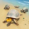 Wild Turtle Family Simulator