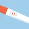 Pregnancy Test